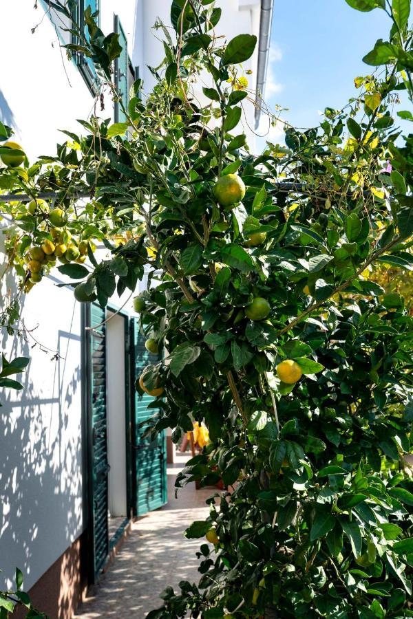 Apartments Lazaric ロパール エクステリア 写真